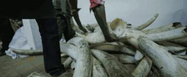 只为一串佛珠,他活剥了我妈的皮:人心有多可怕,你根本想象不到