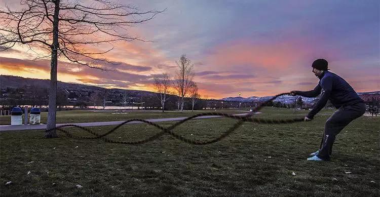 vix家族关系,vivo家族