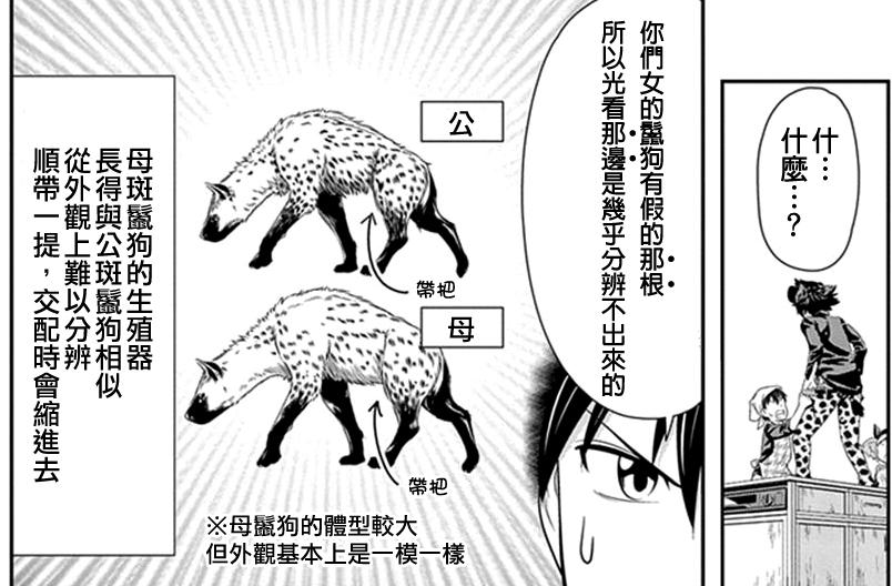 斑鬣狗一窝生几个,动物园看斑鬣狗