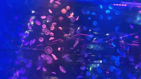 成都爆火酒吧,成都人气最火爆的酒吧