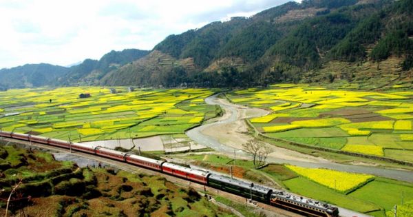 重庆秀山富人区,重庆秀山美丽县城