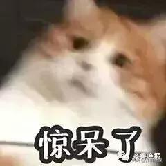 倒卖二手鞋赚钱,2023年倒卖aj赚钱吗