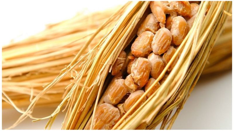 大豆怎么吃有营养,大豆怎么吃最有营养