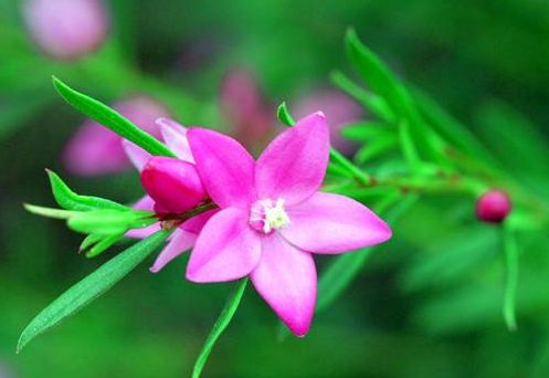 愿光阴含笑岁月静好散文,愿光阴含笑岁月静好什么意思