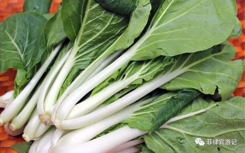 菲律宾青菜价格表,菲律宾蔬菜为什么那么贵