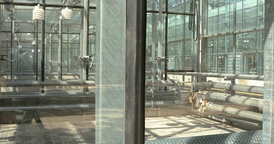 专业的玻璃温室大棚建造,温室大棚生产及设计