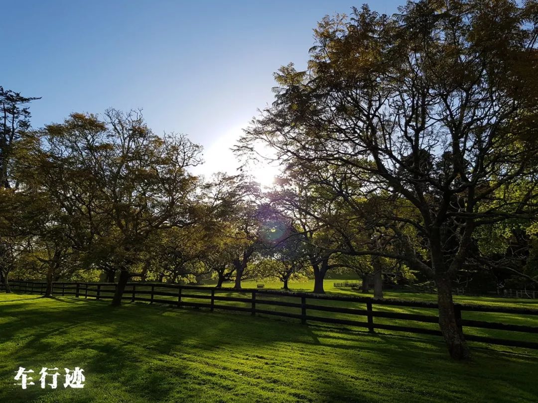 穿越新西兰北岛,新西兰北岛的真实生活最新