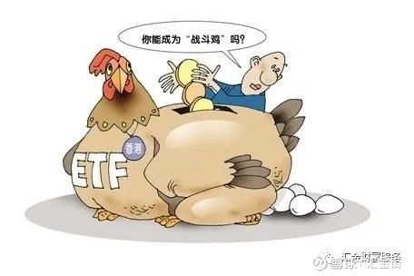 基金理财投资知识,基金保险理财了解一下