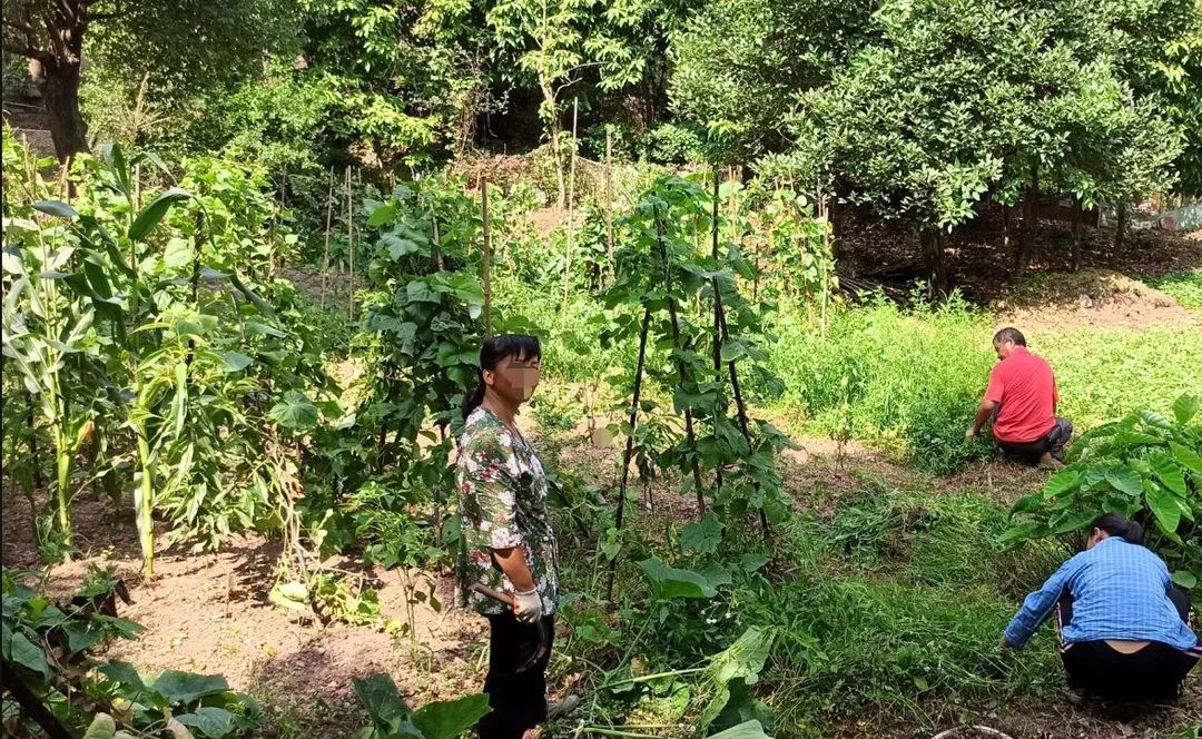 被56万压垮，重庆力帆帝国即将破产？昔日超级豪宅沦为鬼楼？