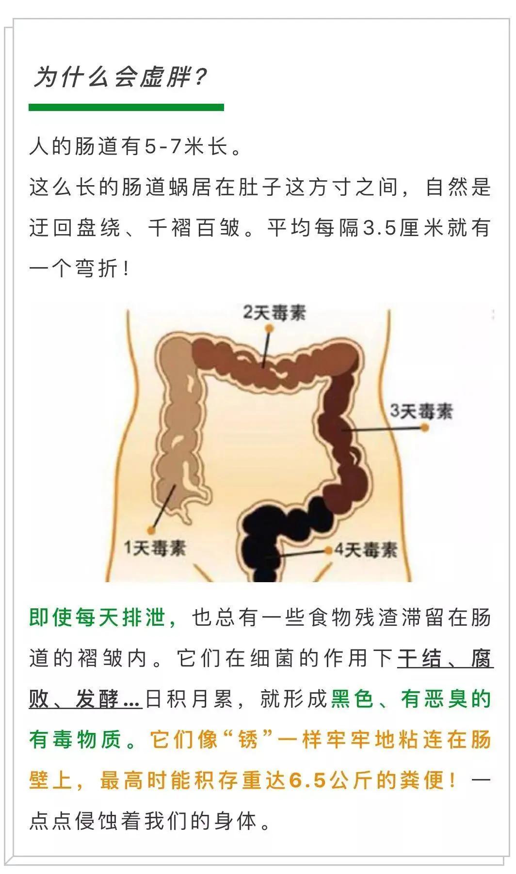 吃撑了但没便意,吃撑了但是没吃够代谢