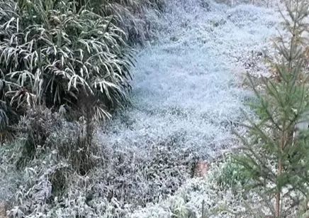 昆明最近31度热吗,昆明最近气温骤降了吗