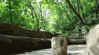 凤栖山传说真实故事,凤凰山老牛背的传说