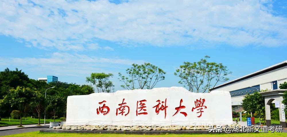 这几所学校改名超成功，网友：专科逆袭成一本，三本秒变985