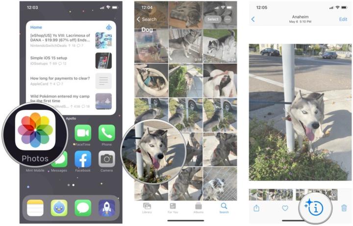 苹果ios15.2有实况文字吗,苹果升级ios15.4实况文本怎么设置