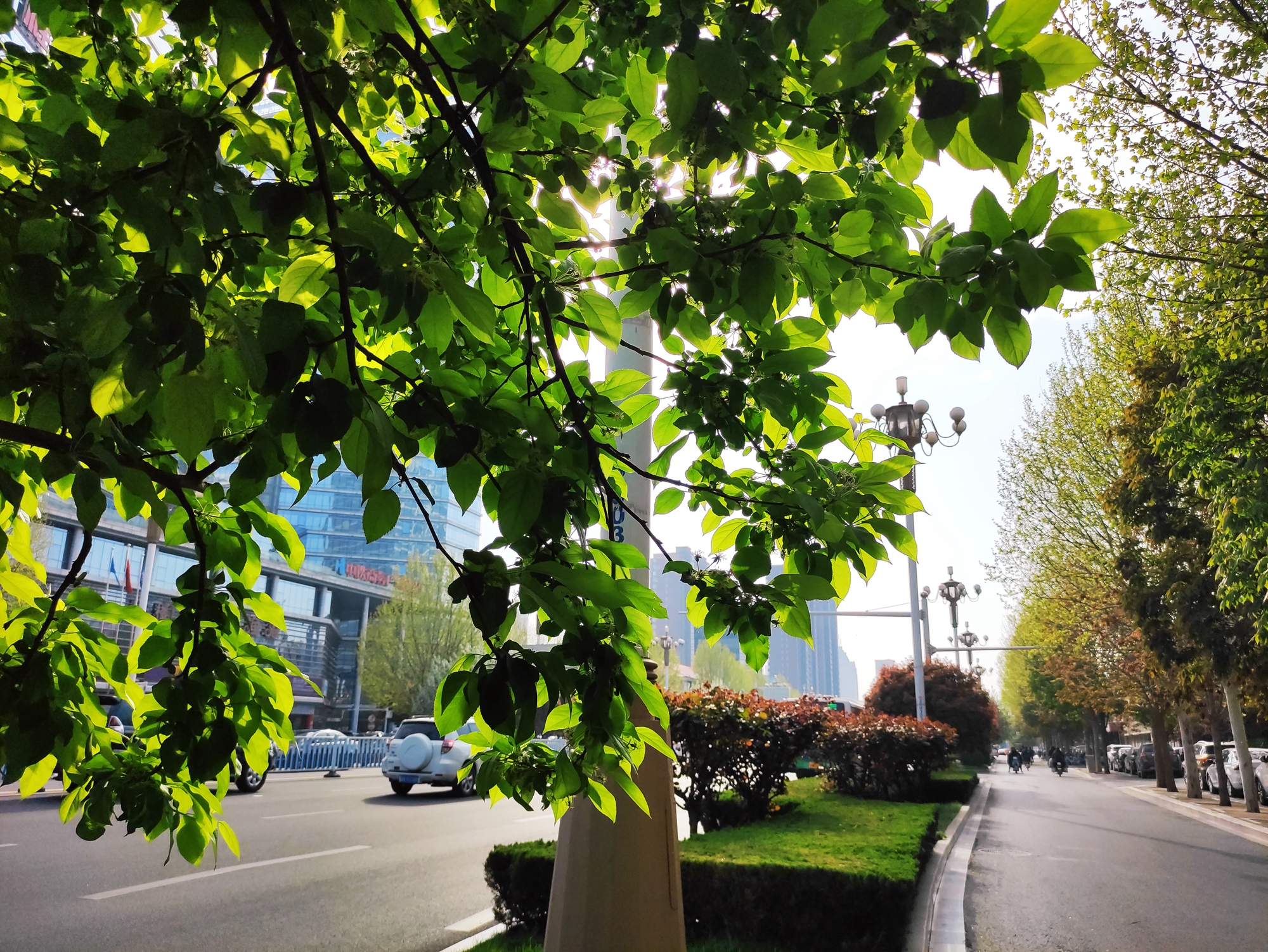 石家庄气候,石家庄属于什么气候