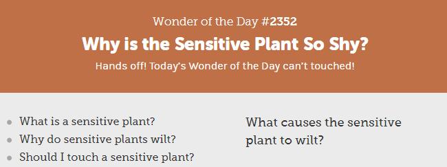 每天都要回答孩子的十万个为什么,面对孩子的十万个为什么怎么回答