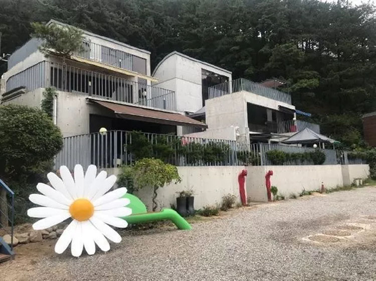 权志龙喜欢樱花和雏菊吗,权志龙最喜欢的所有东西