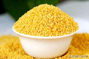 野钓知识大全及技巧,野钓最常见最实用的技巧