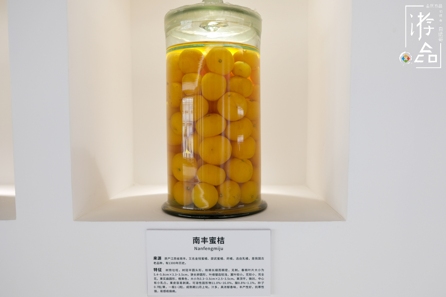 柑橘一共有多少种？很难数清，但三峡橘乡重庆忠县能告诉你答案