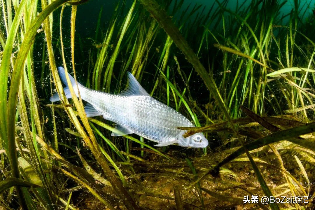 到云南玉溪旅游必去的10大景点，你去过几个？最爱哪个景点？