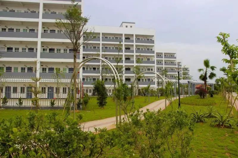 高职高考可以报广州工商学院吗,广州工商学院高职高考专业