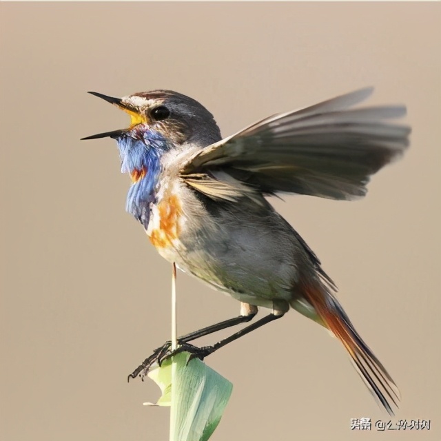 楼下邻居精神不好怎么办,楼下住了神经衰弱的邻居