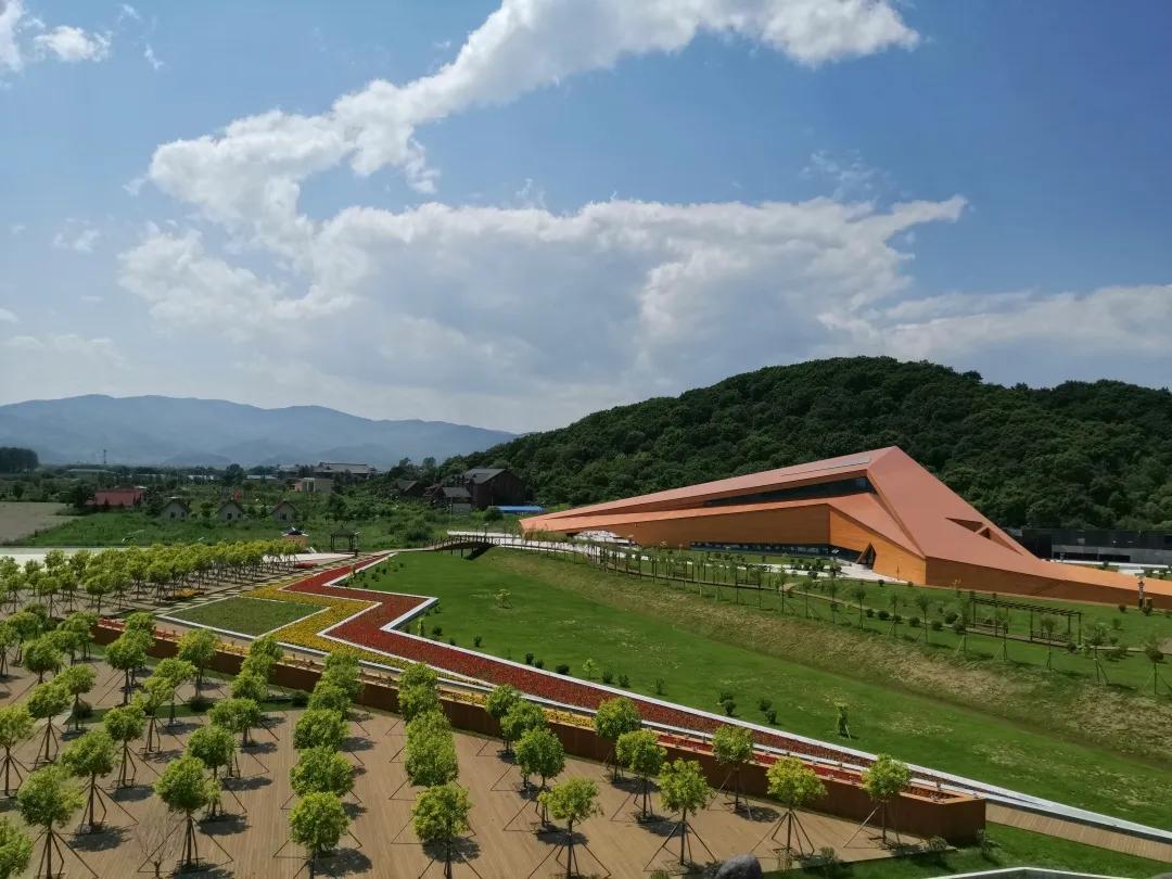 醉花海古镇美景,醉舞花海