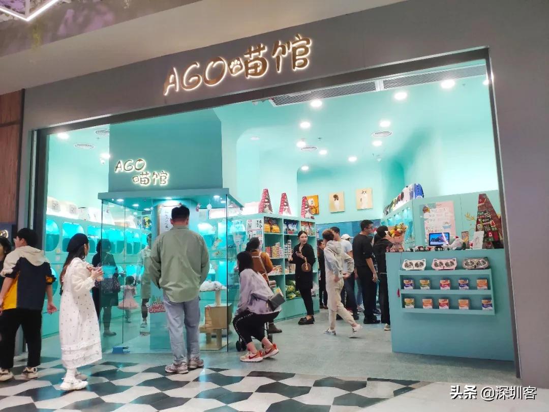 何以解忧唯有撸猫头像,何以解忧唯有撸狗