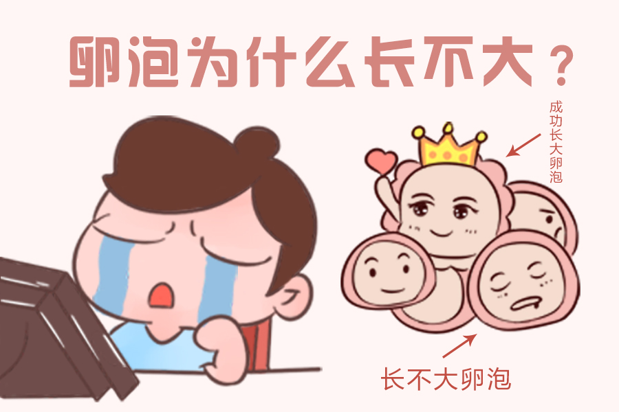 多囊卵泡长不大月经延后能怀孕么,多囊卵巢卵泡长不大中医怎么调理