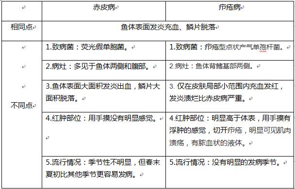 赤皮病草鱼治疗方法,鱼赤皮病治疗