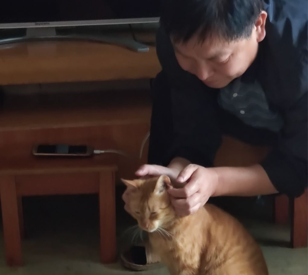 爸妈养宠物之后,就没你什么事了