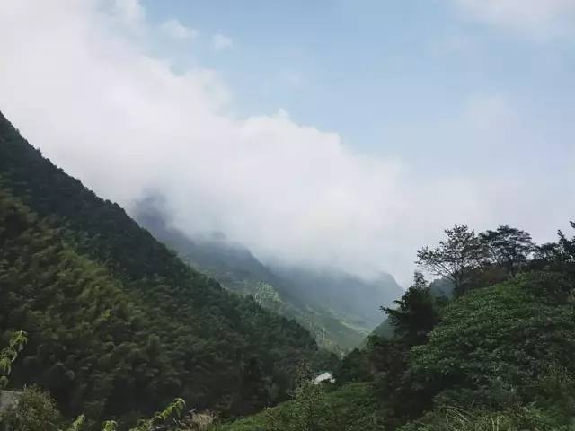 丽水松阳现代民宿,浙江丽水松阳县古村落民宿