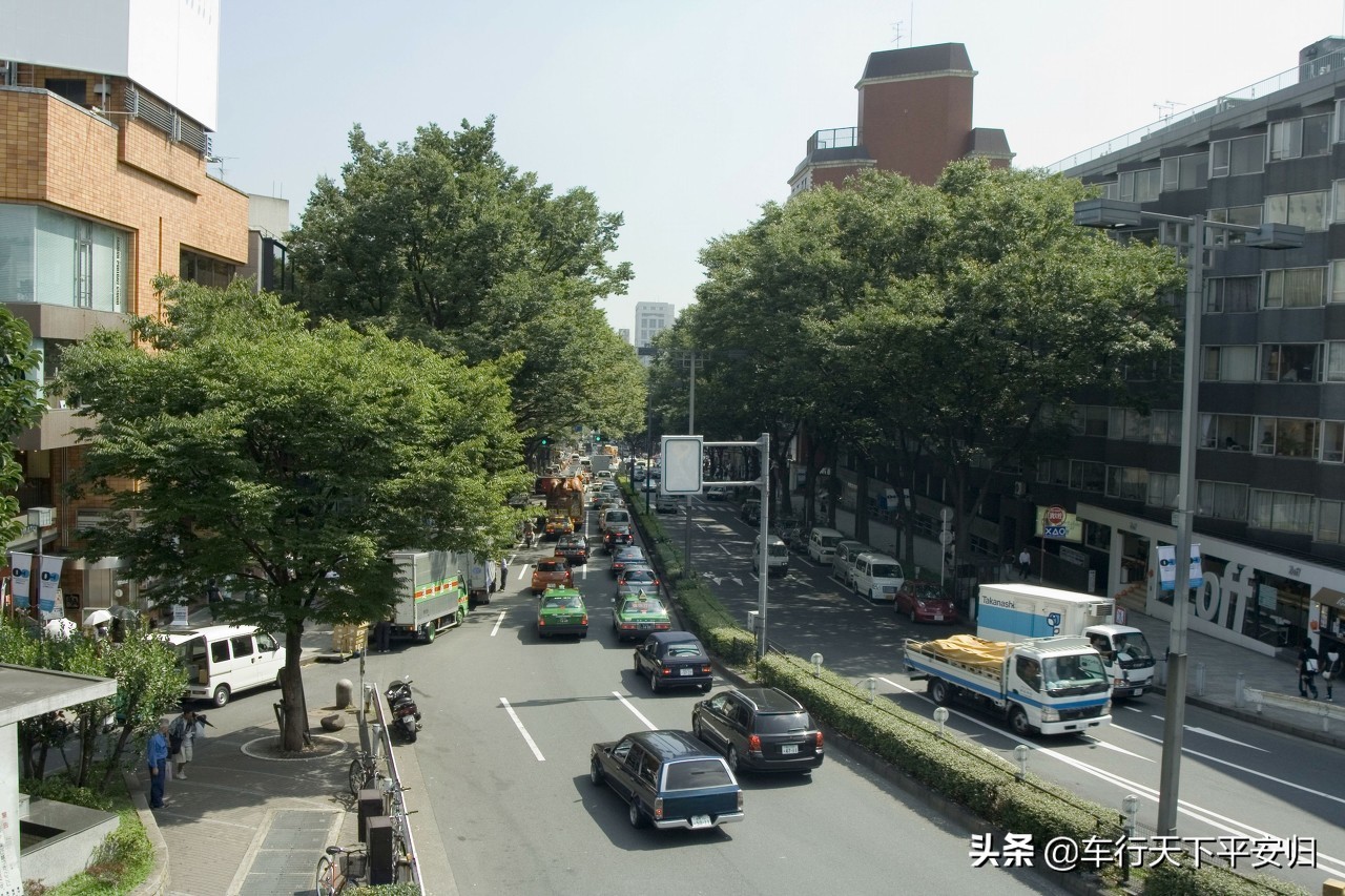 小灵狗出行极星,小灵狗出行价格