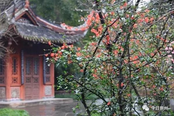 成都的天府公园,四川天府新区的公园城市