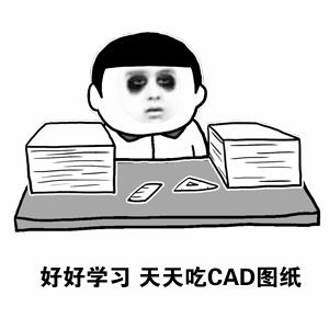 cad图纸提示缺少字体,cad图纸缺少字母