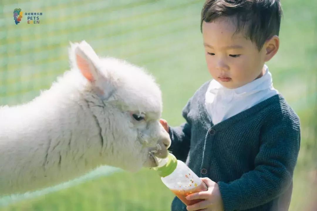 2021古滇星光跨年音乐嘉年华,昆明跨年古滇七彩云南欢乐世界