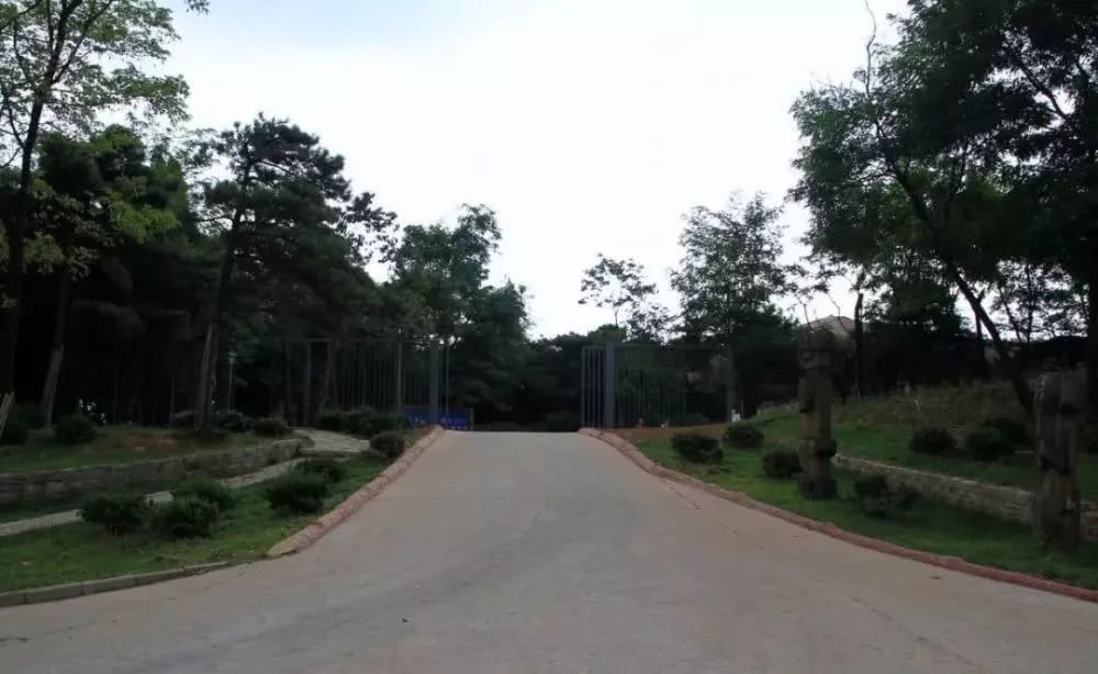 2021年济南人口还会增长吗,济南未来的潜力到底有多大