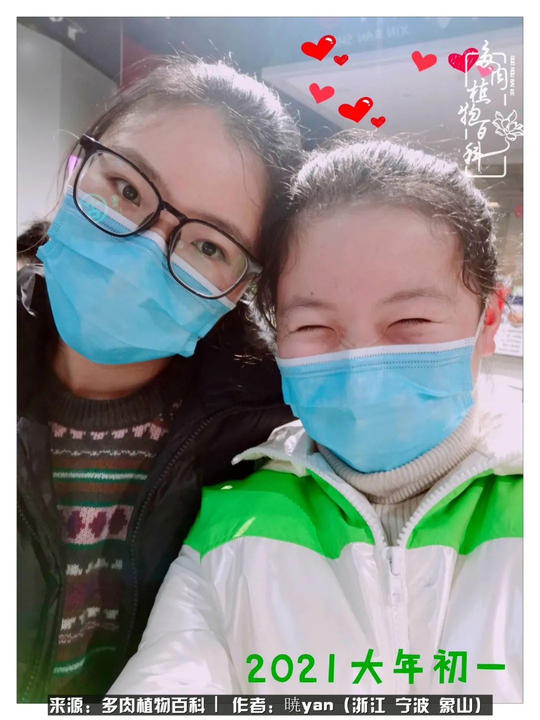 多肉初级入坑者,入坑多肉