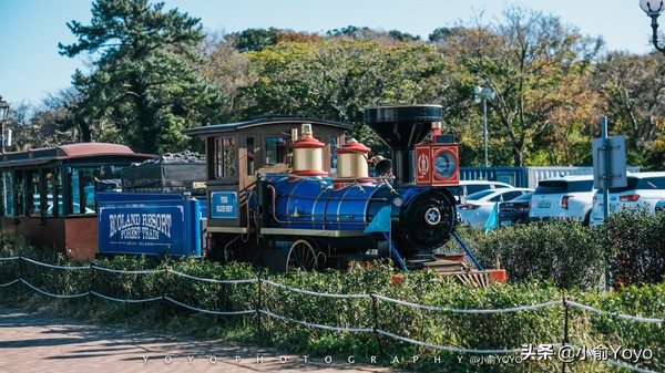 济州岛最值得去的地方,来济州岛第一天去哪玩