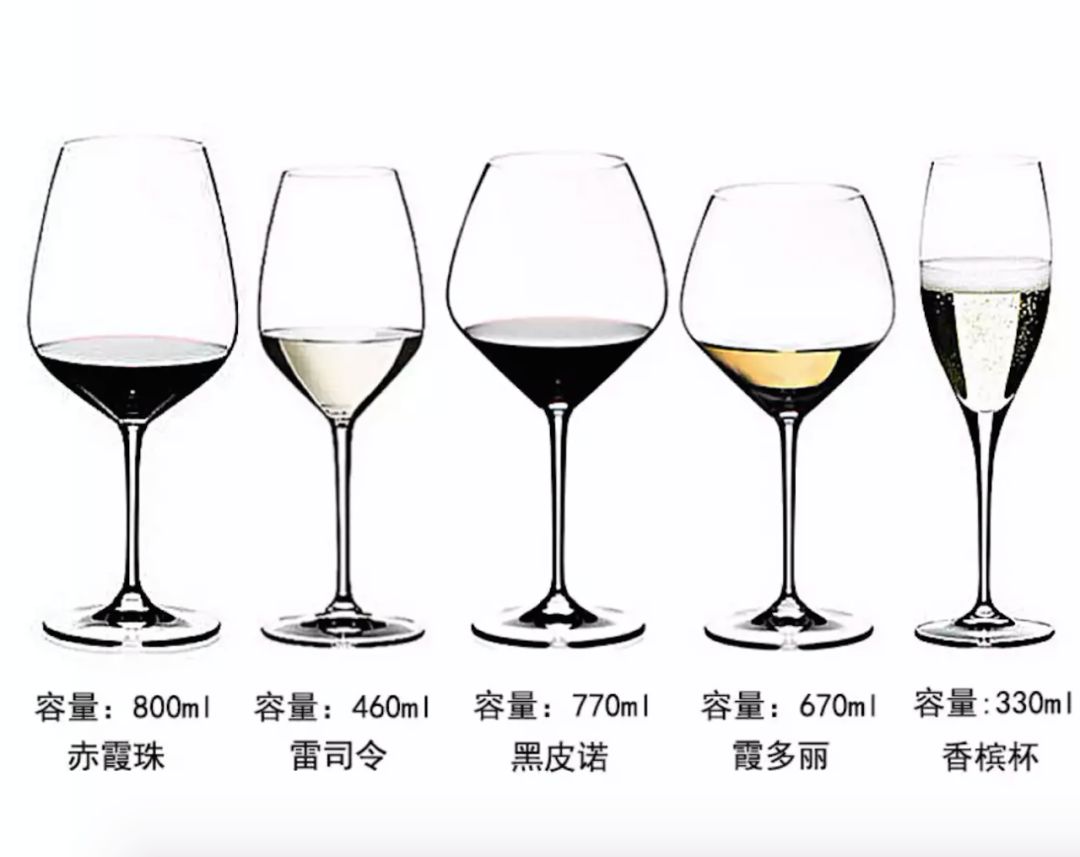 正确持杯姿势，展现优雅人生