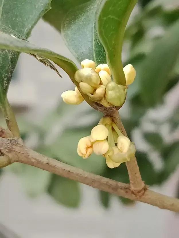 人睡着后不盖被子会着凉吗,人睡觉时为什么要枕枕头