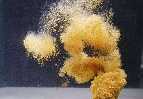 同样的配方同样的感觉,同样的配方为什么价钱不一样