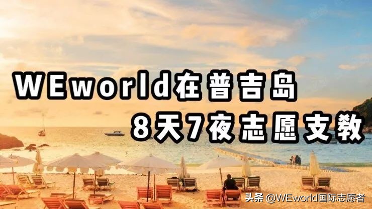 WEworld全球体验官招募|4大志愿者项目0元出发