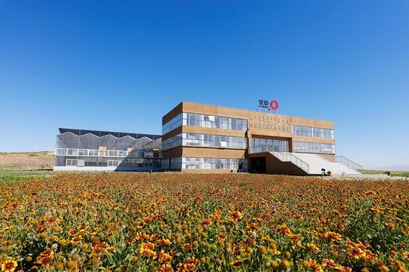 阿拉善盟免费景点,阿拉善盟定远营旅游景区