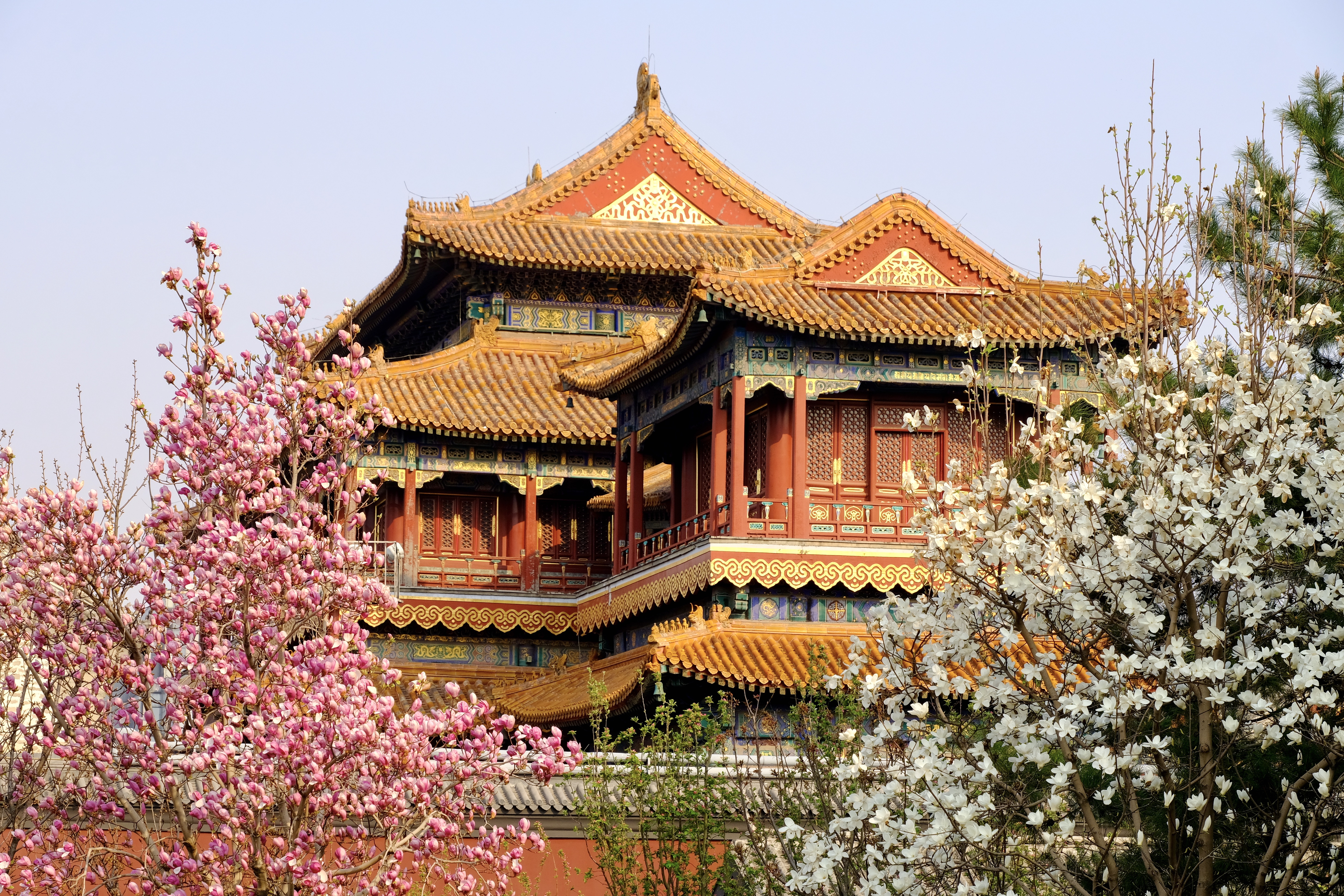 开往地铁上的春天,开往春天的地铁邂逅京城的花开