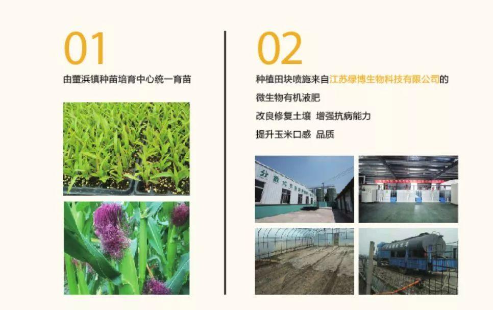 童颜小玉米做法,小玉米甜糯低脂