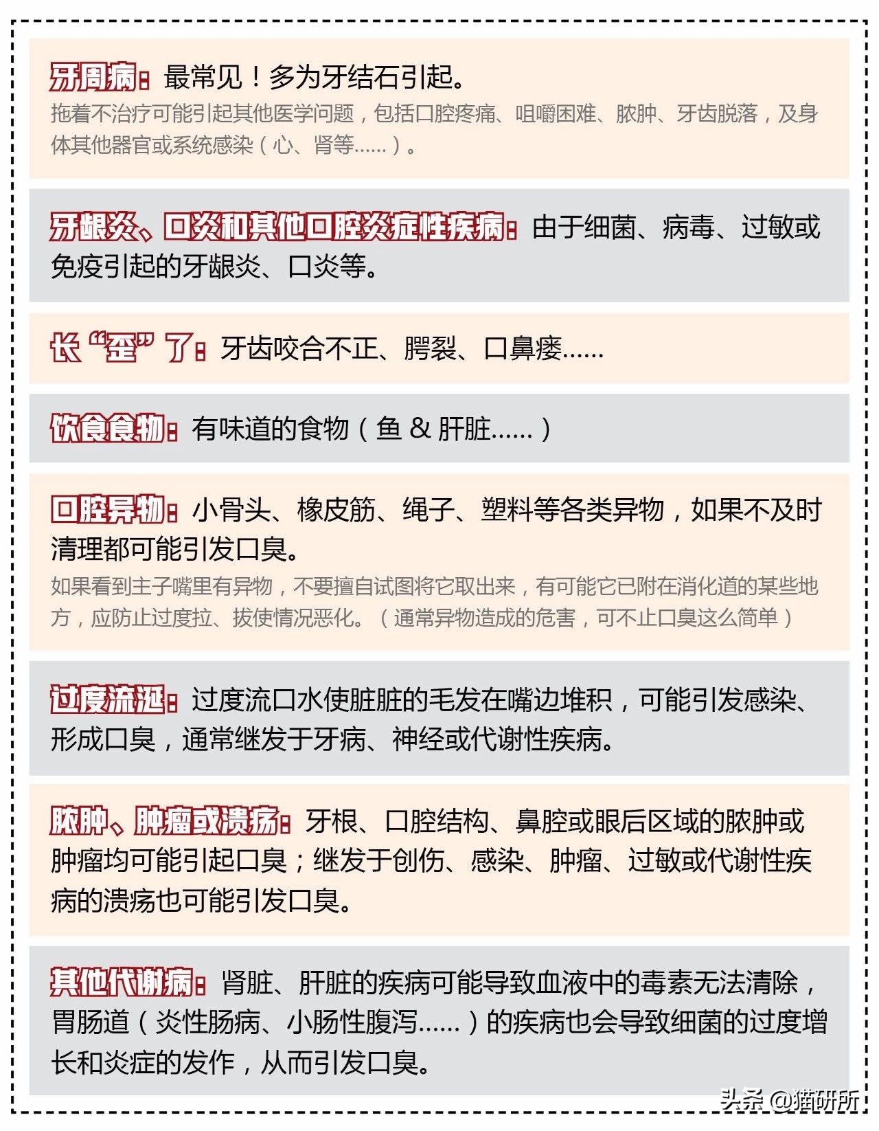 猫咪口臭的解决方法及原因,猫咪口臭缺乏什么