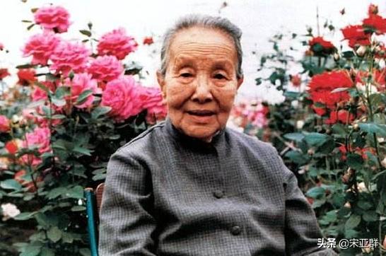 冰心与林徽因从姐妹情深到反目,林徽因与冰心决裂的真相