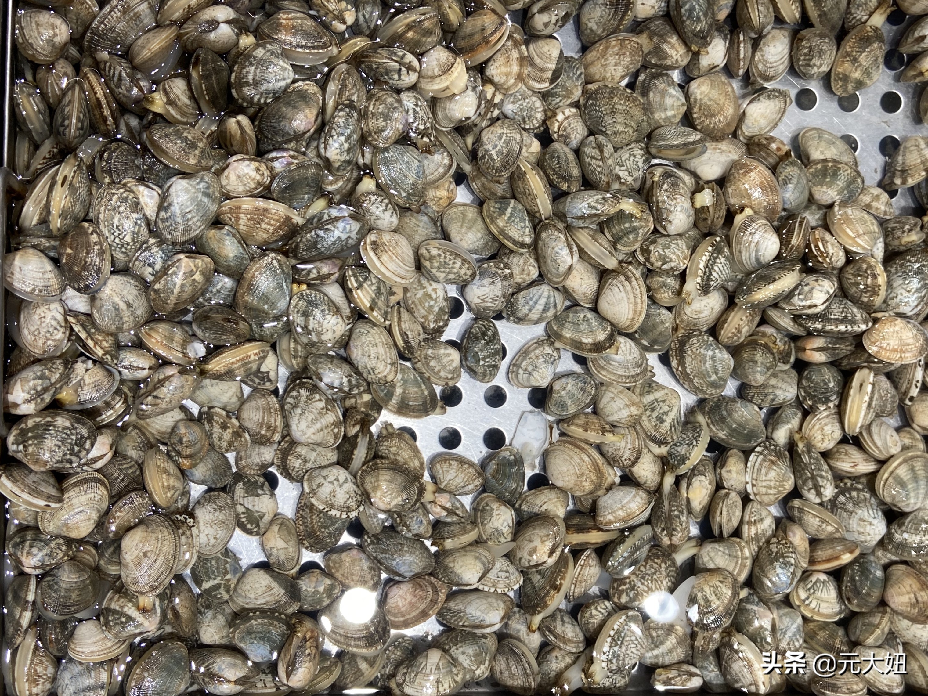 不要错过海鲜季节表,一年四季海鲜时间表