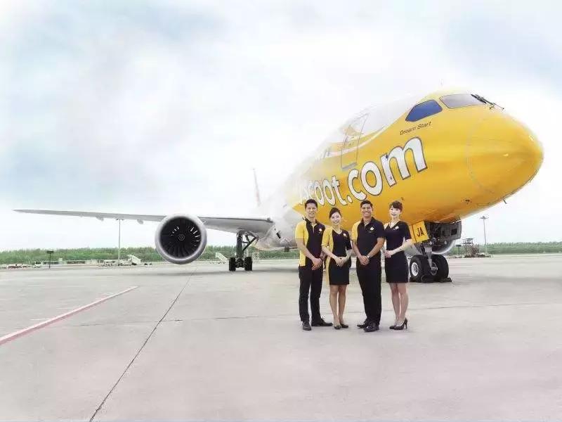 酷航飞新加坡迫降,万米高空飞机垂直坠落